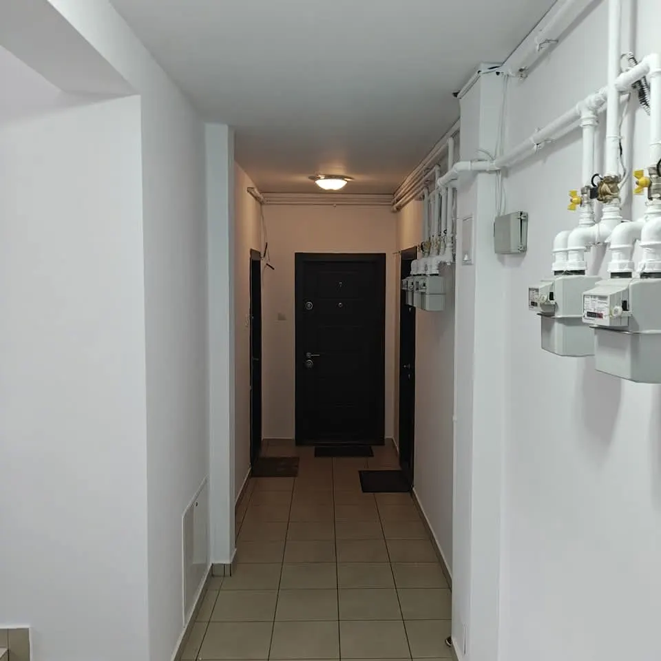 Hol bloc cu ușă apartament